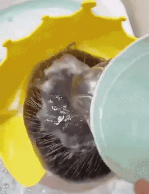 Baby shower cap